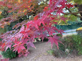 image0.jpeg
